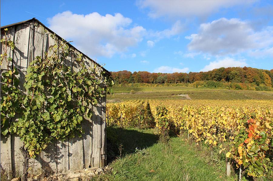 Gite Du " Bas Du Cru " Villa Romery  Exteriör bild
