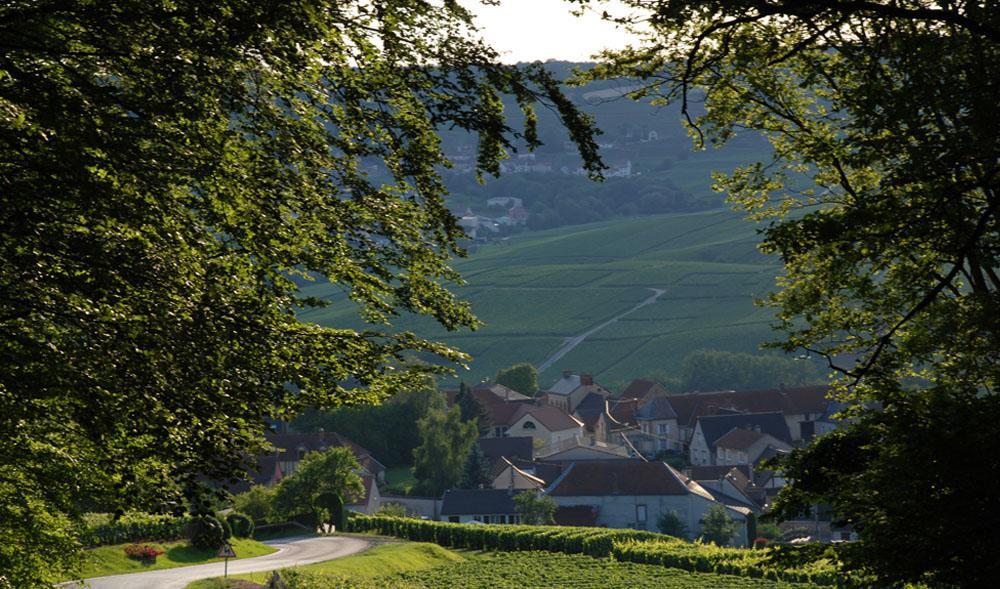 Gite Du " Bas Du Cru " Villa Romery  Exteriör bild